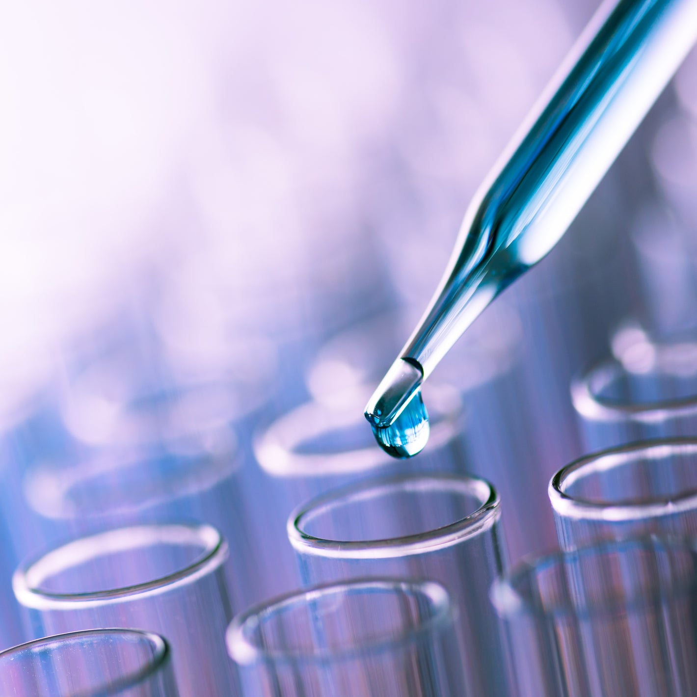 <Close up of a glass pipette dropping a clear blue liquid into a row of violet test tubes. Credit> AdobeStock_194483383 