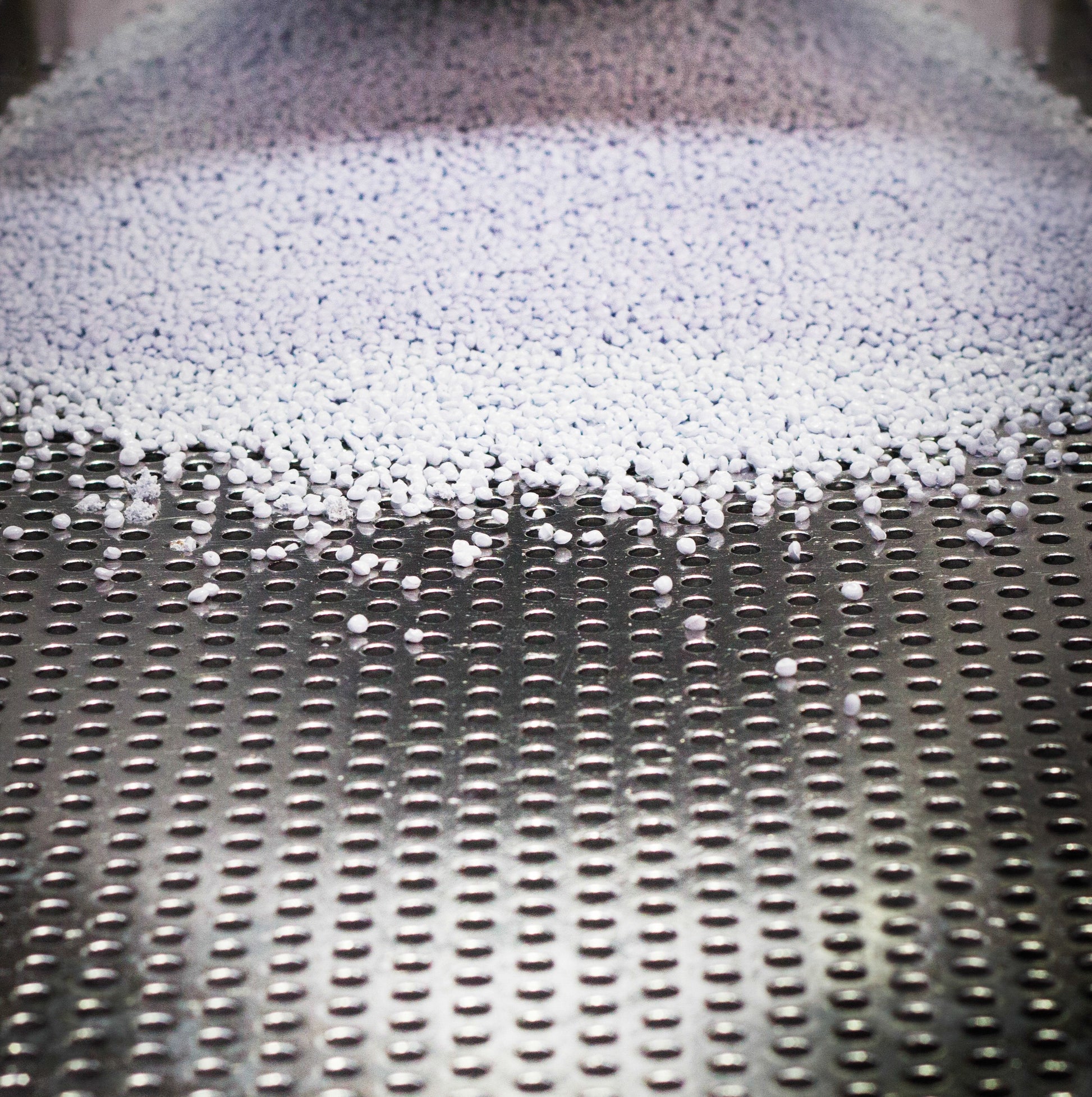 <White small mini-tabs or pillules being poured onto a stainless steel mold with rows and rows of round holes to take one pillule. Credit> AdobeStock_253324940