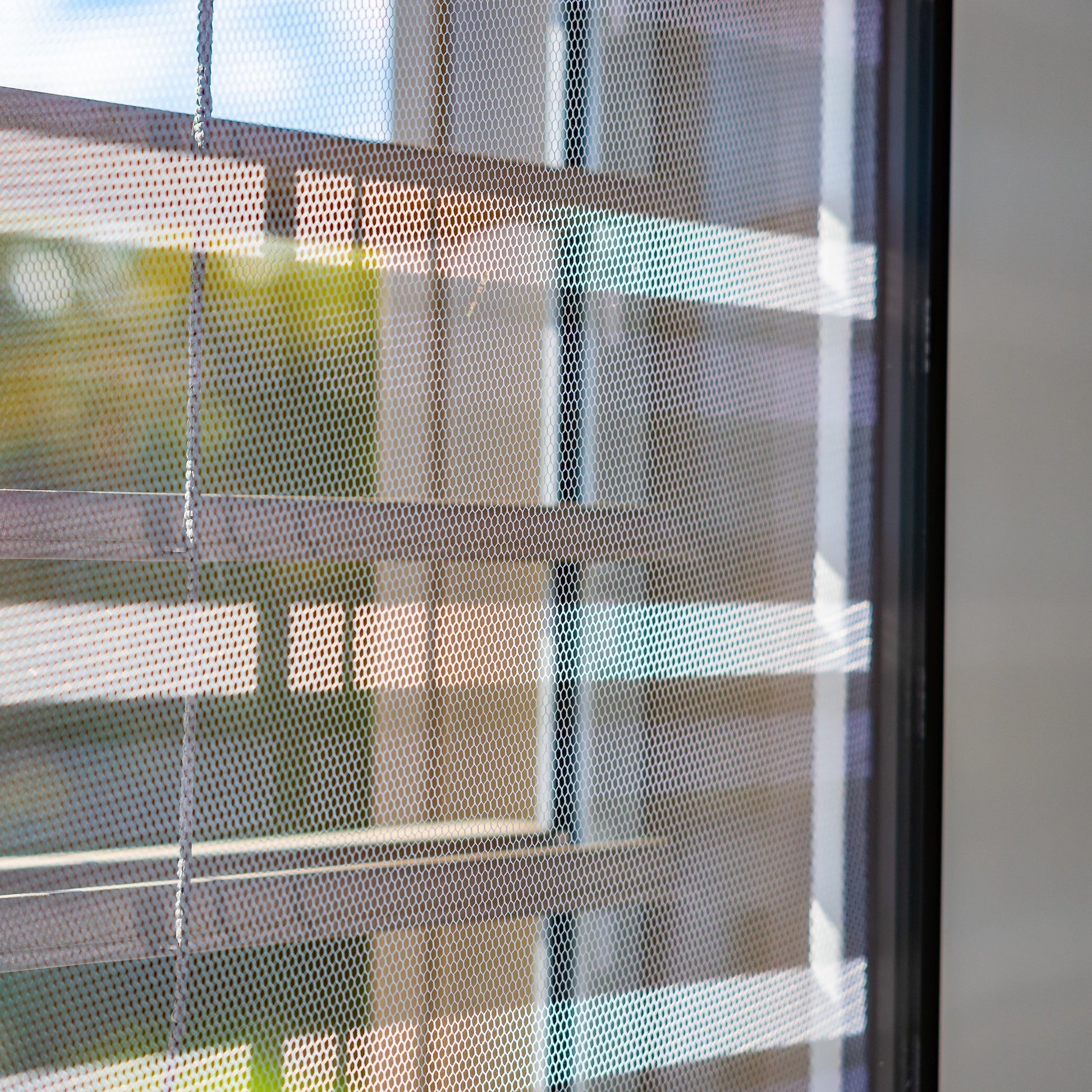 <Insect guards or fly screens fitted to outside office windows to prevent flying insects entering the building. Credit> AdobeStock_348106214