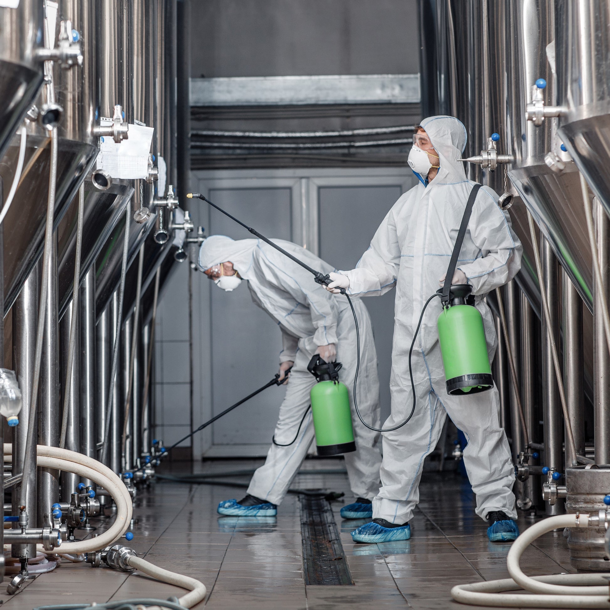 <Two men dressed in protective white overalls, wearing safety boots, face masks and gloves, cleaning the outside of manufacturing mixing tanks with spray hoses from a green chemical container. Credit> AdobeStock_376451842