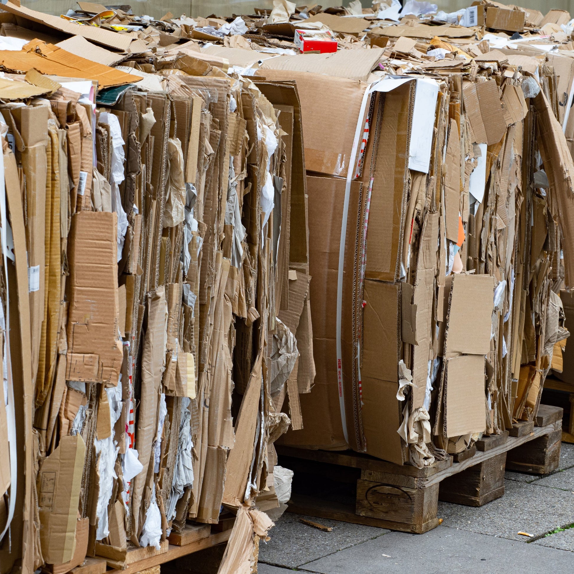 <Unprinted cardboard waste from transporting packaging components bundled tightly together on several wooden pallets for recycling. Credit> AdobeStock_386749997