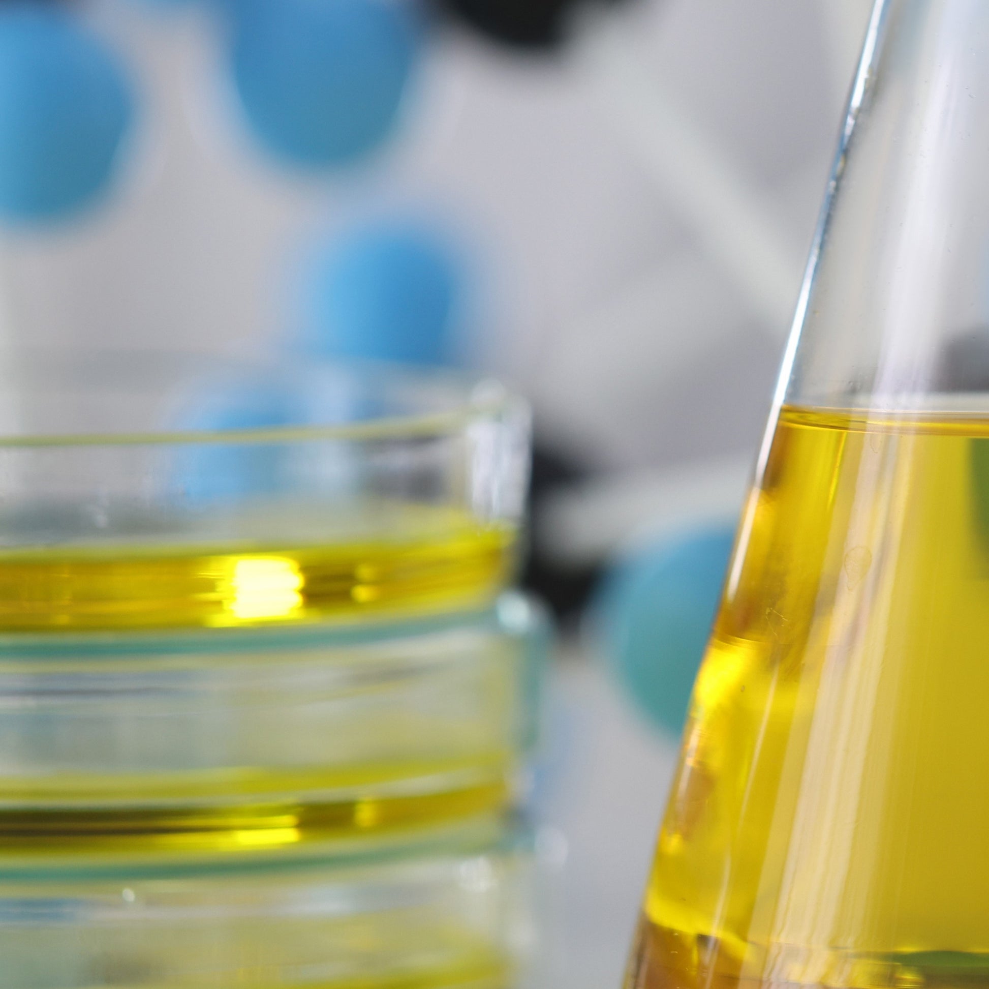 <Close up of sample of yellow amber coloured, clear liquid in a flask and being examined in petri dishes. Credit> AdobeStock_395499689