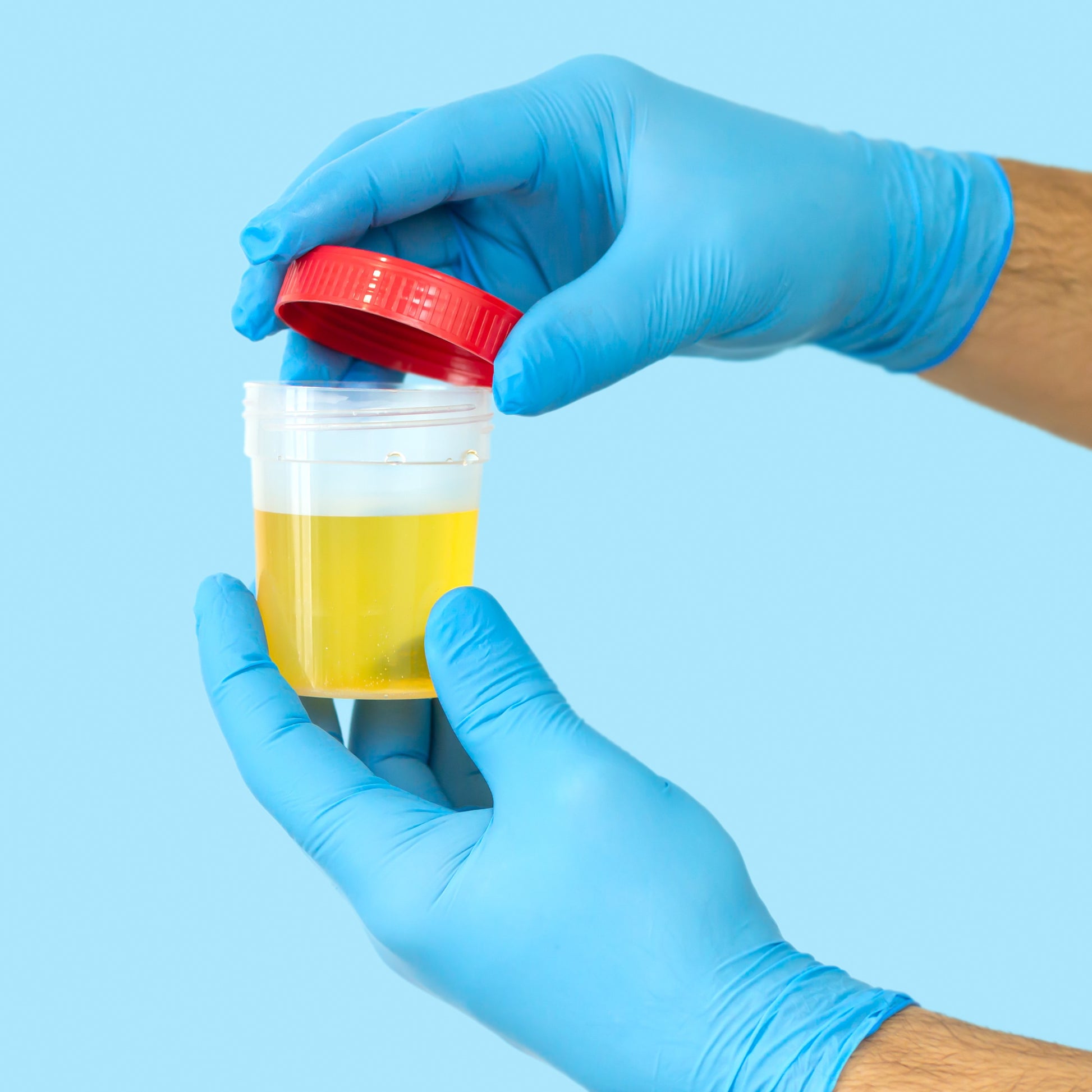 <Hands of a male QC analyst  wearing blue gloves holding a plastic jar with red lid containing an amber colour liquid that has just been sampled. Credit> AdobeStock_410441980