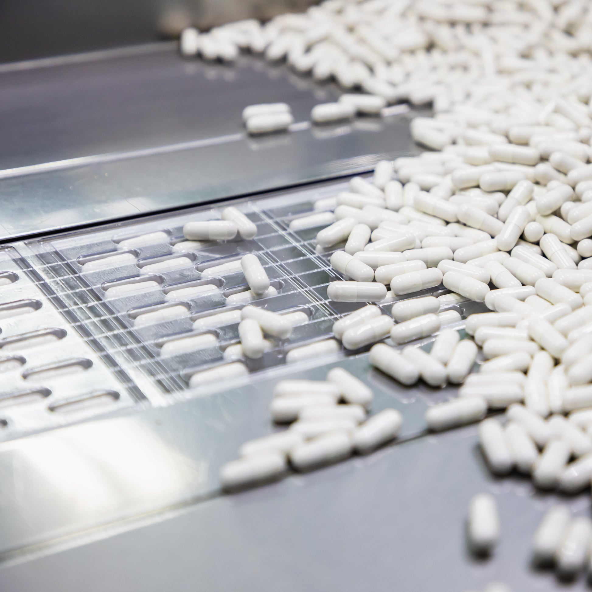 <White drug capsules spread over a production stainless steel surface directing them into molds for foil blister sealing in sheets of 15. Credit> AdobeStock_419535586