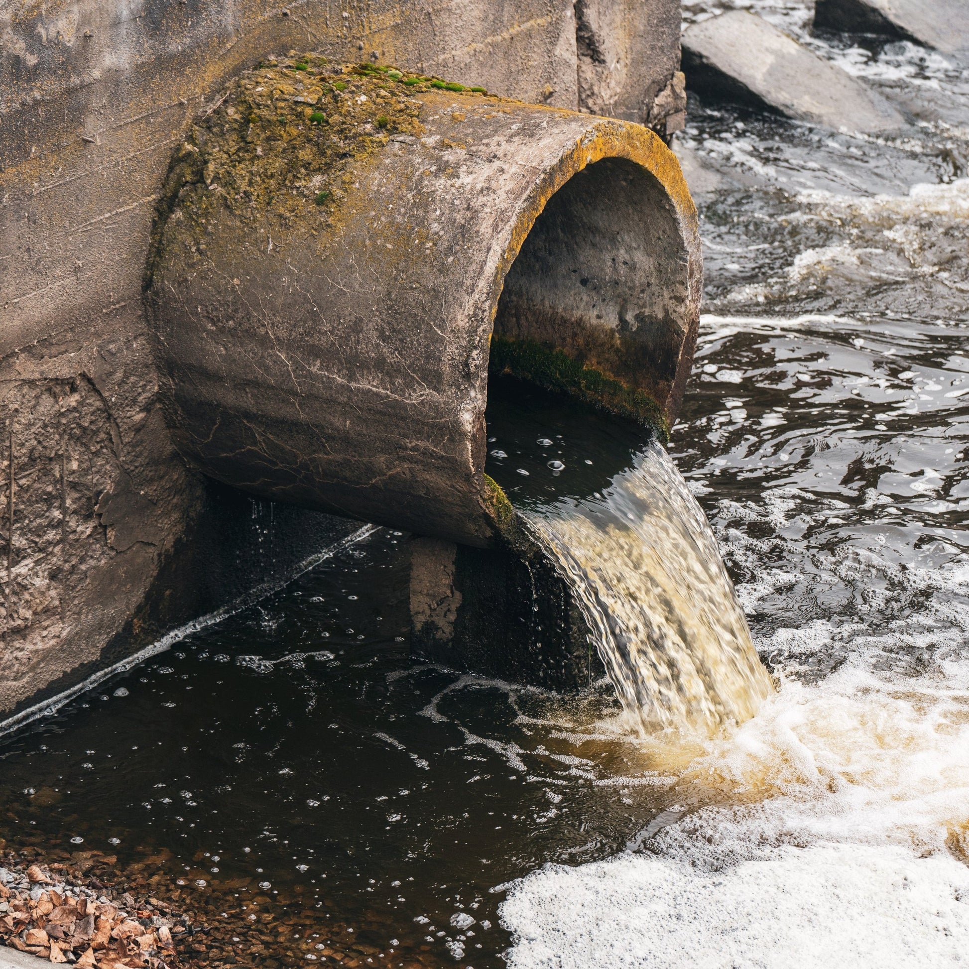 <Old concrete pipe with green moss or lichen on top discharging some foaming waste water into a river as an example of not managing waste properly. Credit> AdobeStock_472304078