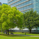 <Modern glass office building in sunshine with a path, large green trees, grass and park benches outside. Credit> AdobeStock_71224475