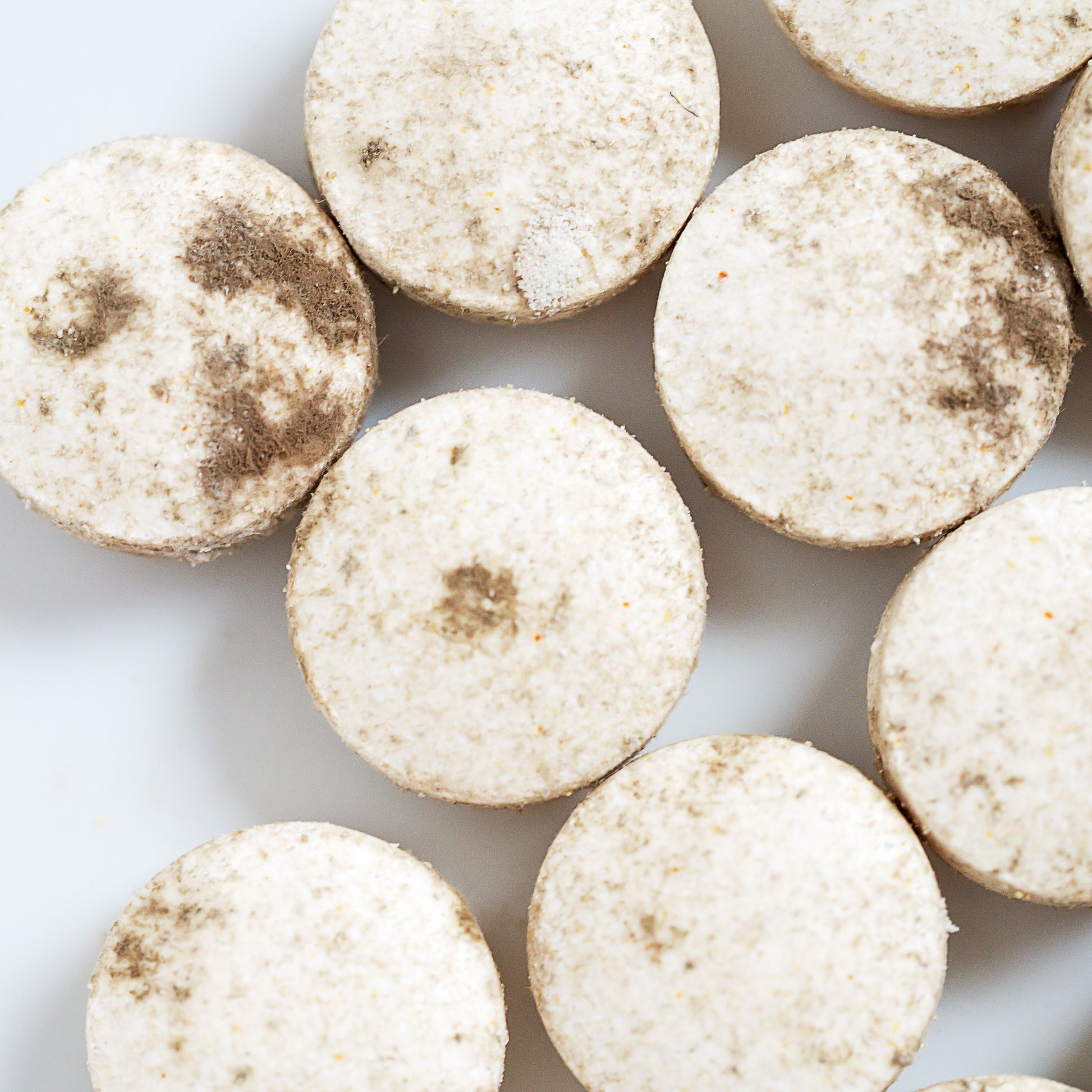 <Some round white tablets that have failed stability studies with a suspected brown fungi or yeast growth. Credit> 169194947 © Thidarat Petprasom | Dreamstime.com