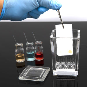 <Hand wearing blue glove putting a TLC plate, spotted with the test sample, with tweezers into a square glass solvent tank with lid removed sitting on a black work surface, with 3 coloured solutions in glass bottles with stirrers. Credit> 198976155
© Mehmet Cetin | Dreamstime.com