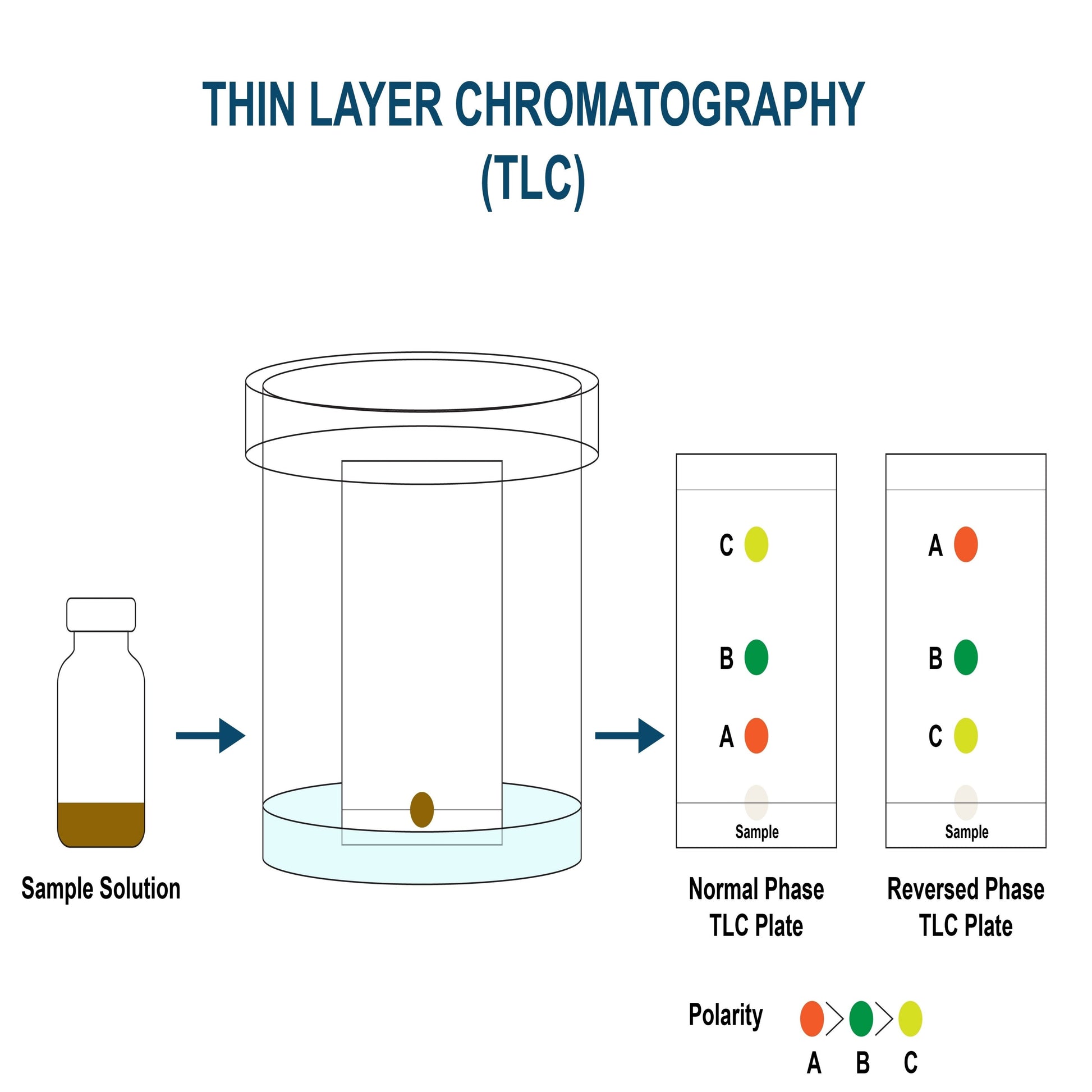 <Poster illustration of TLC testing showing the separation of the sample solution on the plate in the solvent tank according to polarity of each component. Credit> 2356592077 by S. Singha @ Shutterstock