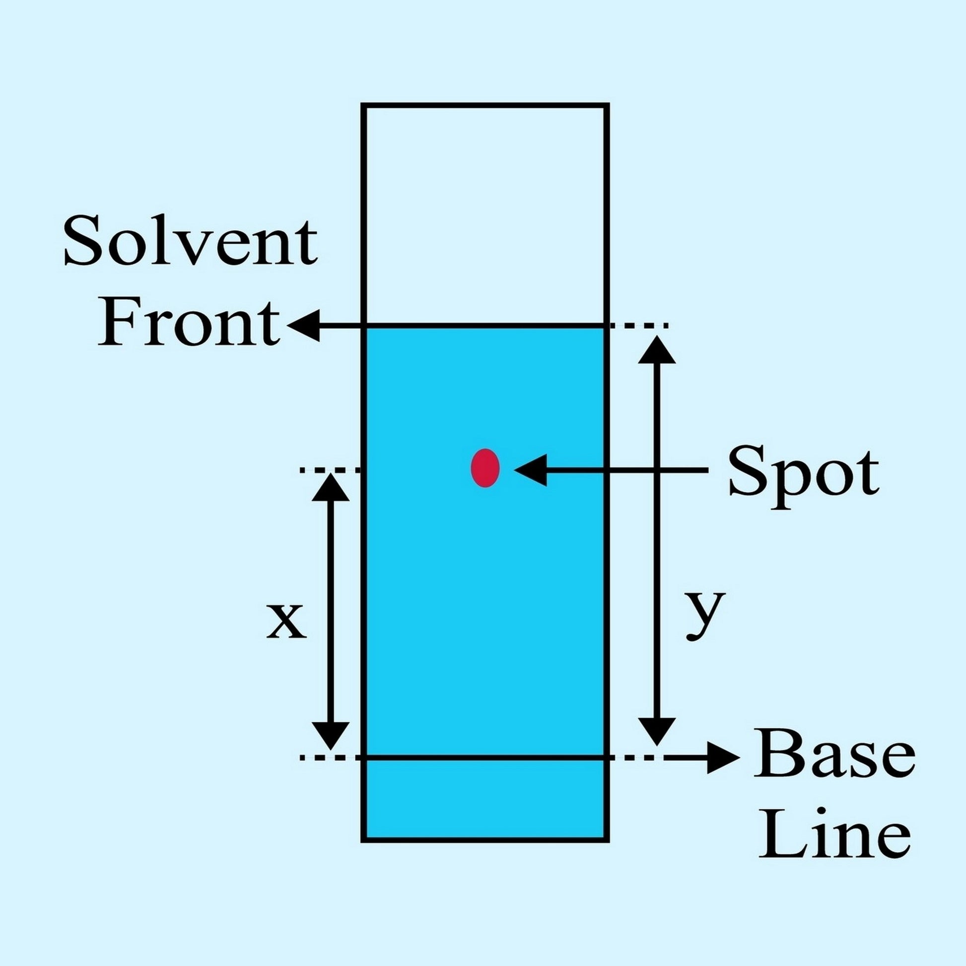 <Poster illustration of the terms used in TLC testing including the base line below which  the plate sits in the solvent, the spot or bands from each component in the mixture moving up the plate and the solvent front how far the solvent reaches. Credit> 2365217367 by Jaya Bharathi A @ Shutterstock